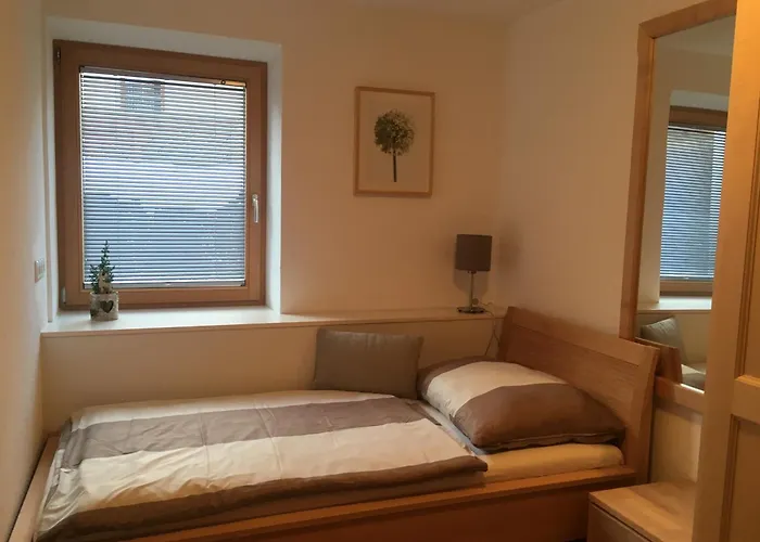 Haus Salner 公寓 索滕斯